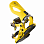 Arbor Cypress YELLOW