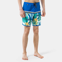 Picture Organic Andy 17 Boardshorts NEWART