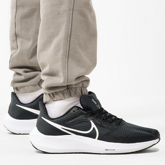 nike pegasus 39