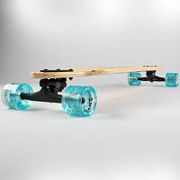 Sector9 Fractal Flora Complete 36