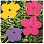 MAHARISHI 9649 Maha Warhol Flowers RUG Hand  Tufted Wool MULTI