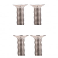 Liquid Force Screws  M8 -t40 ASSORTED