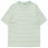Carhartt WIP W' S/S Robie T-shirt ROBIE STRIPE, WAX / PALE SPEARMINT