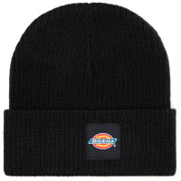 Dickies Evadale Beanie BLACK