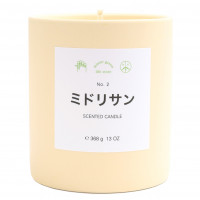 MISTER GREEN Fragrance NO. 2 Midori SAN Candle ASSORTED